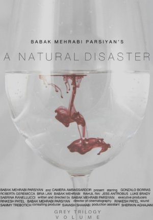 Стихийное бедствие / A Natural Disaster