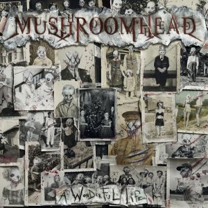 Mushroomhead: A Wonderful Life